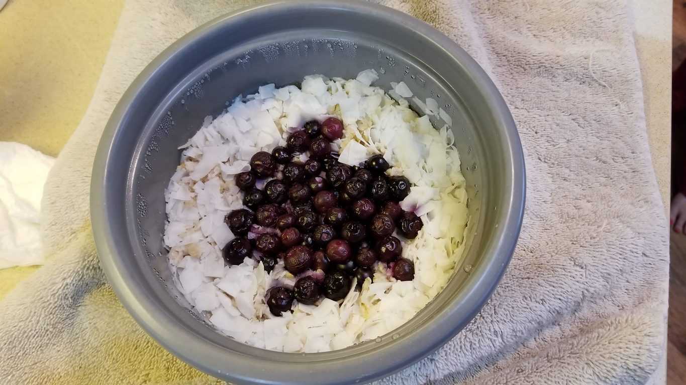 Oatmeal In The Rice Cooker Fix It How To Tips